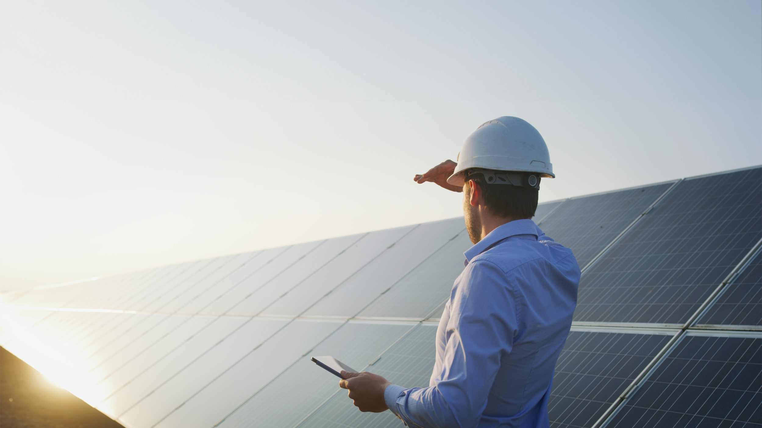 man looking out over solar panels in field